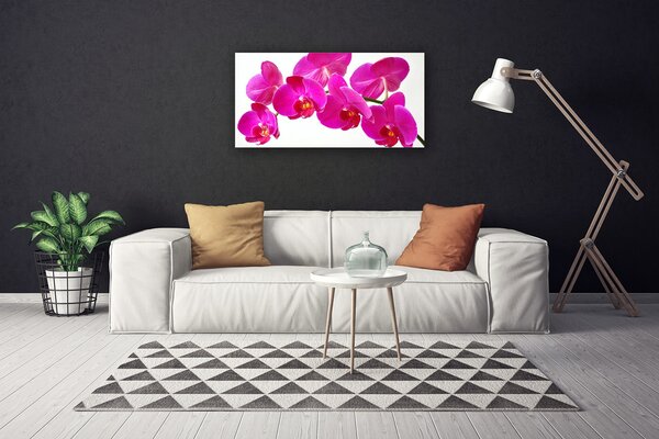 Quadro su tela I fiori della pianta 100x50 cm