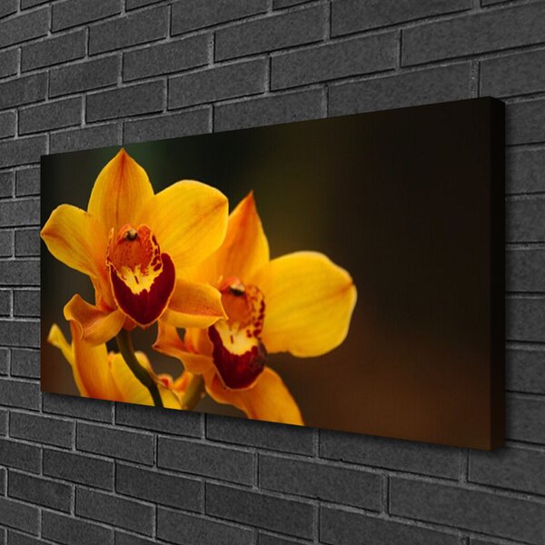 Quadro su tela I fiori della pianta 100x50 cm