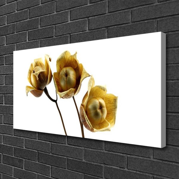 Foto quadro su tela I fiori della pianta 100x50 cm
