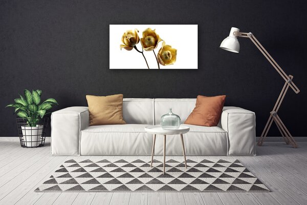 Foto quadro su tela I fiori della pianta 100x50 cm