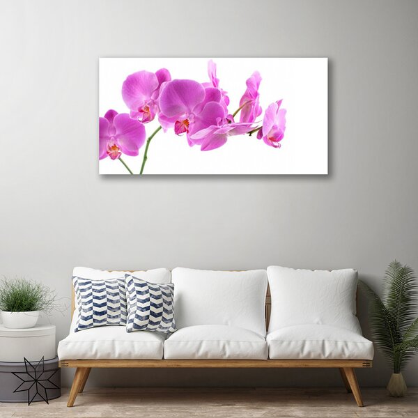 Quadro su tela Fiori, piante, natura 100x50 cm