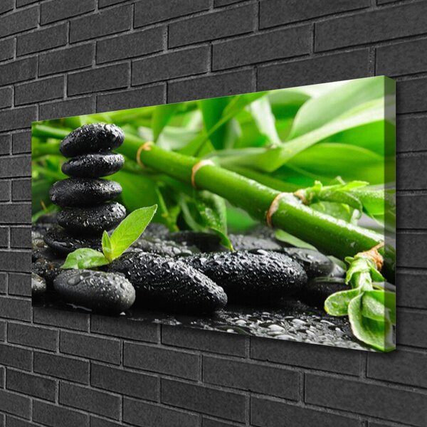 Quadro su tela Bambù I Gambi Della Pianta 100x50 cm