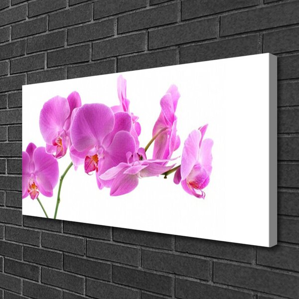 Quadro su tela Fiori, piante, natura 100x50 cm
