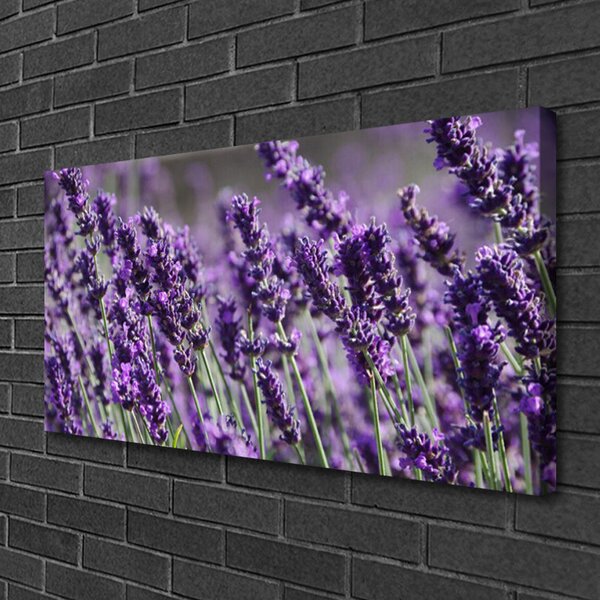 Quadro su tela Fiori, piante, natura 100x50 cm