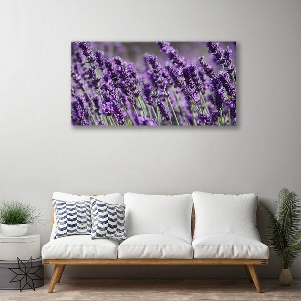 Quadro su tela Fiori, piante, natura 100x50 cm