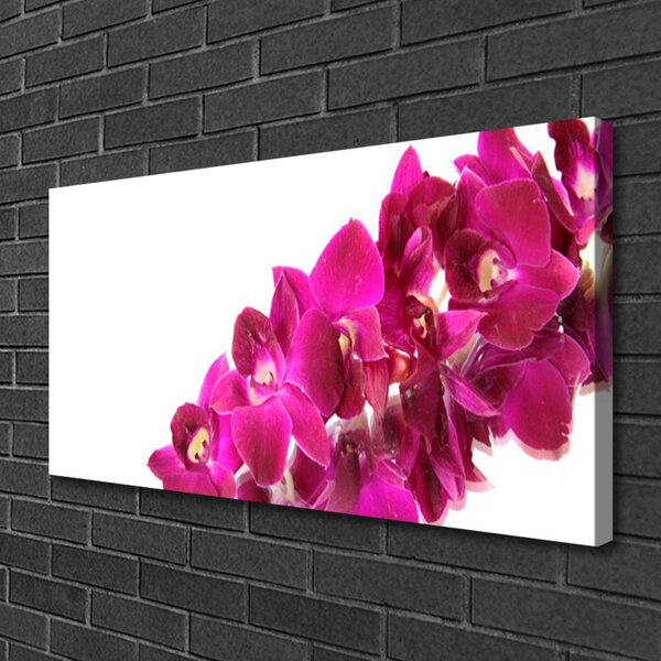 Foto quadro su tela Fiori, piante, natura 100x50 cm