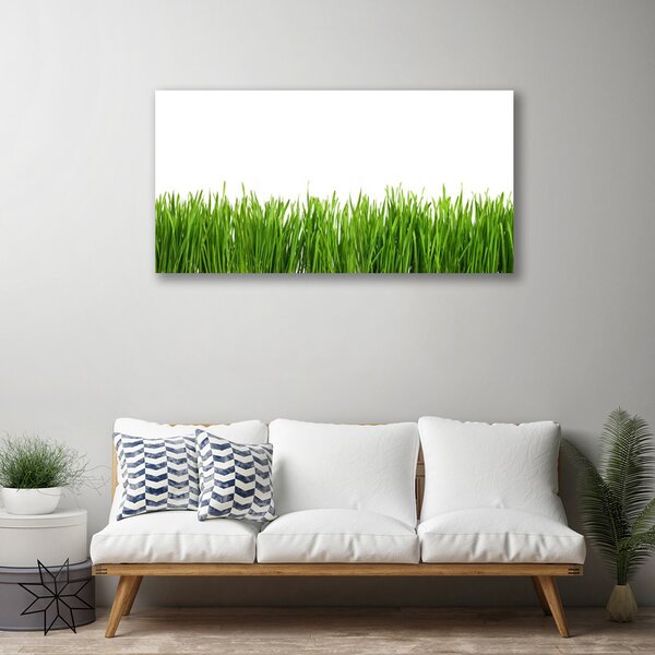Quadro su tela Erba Natura Pianta 100x50 cm