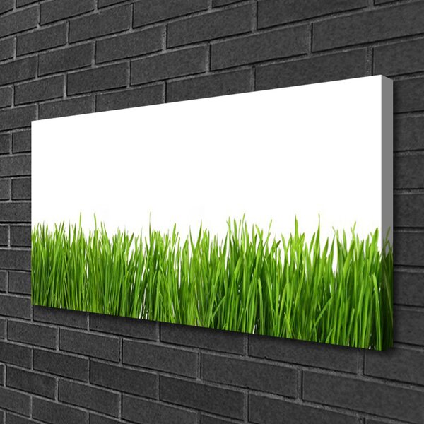 Quadro su tela Erba Natura Pianta 100x50 cm
