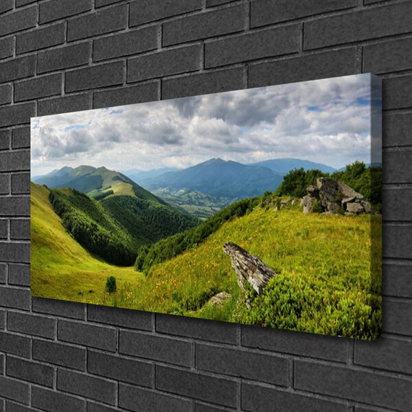 Quadro su tela Paesaggio del prato di montagna 100x50 cm