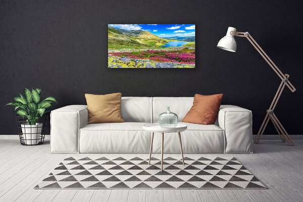 Quadro su tela La montagna dello Zatoka, il prato, la natura 100x50 cm