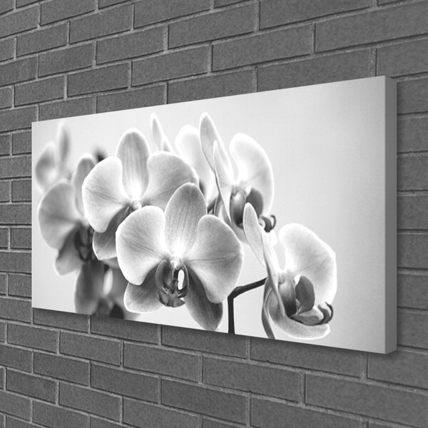 Quadro su tela Fiori, piante, natura 100x50 cm