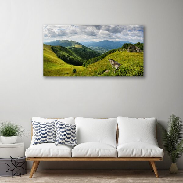 Quadro su tela Paesaggio del prato di montagna 100x50 cm