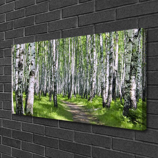Stampa quadro su tela Alberi del percorso della natura della foresta 100x50 cm