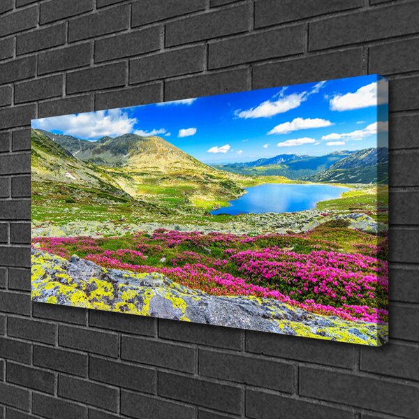 Quadro su tela La montagna dello Zatoka, il prato, la natura 100x50 cm