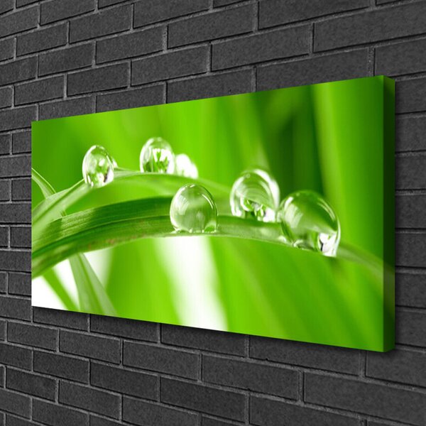 Quadro su tela Foglie di piante naturali 100x50 cm