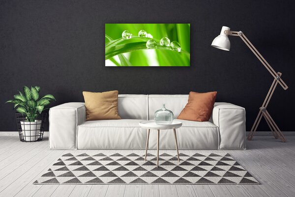 Quadro su tela Foglie di piante naturali 100x50 cm