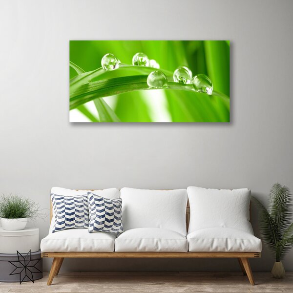 Quadro su tela Foglie di piante naturali 100x50 cm