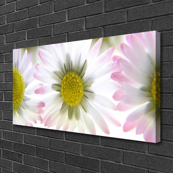 Quadro su tela Margherita, pianta, natura 100x50 cm