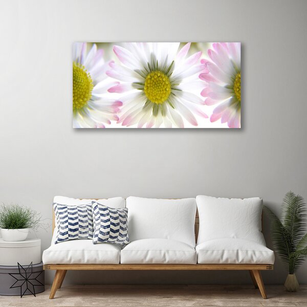 Quadro su tela Margherita, pianta, natura 100x50 cm