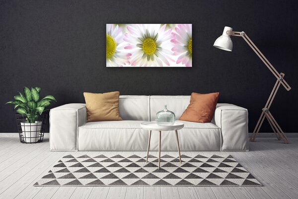 Quadro su tela Margherita, pianta, natura 100x50 cm