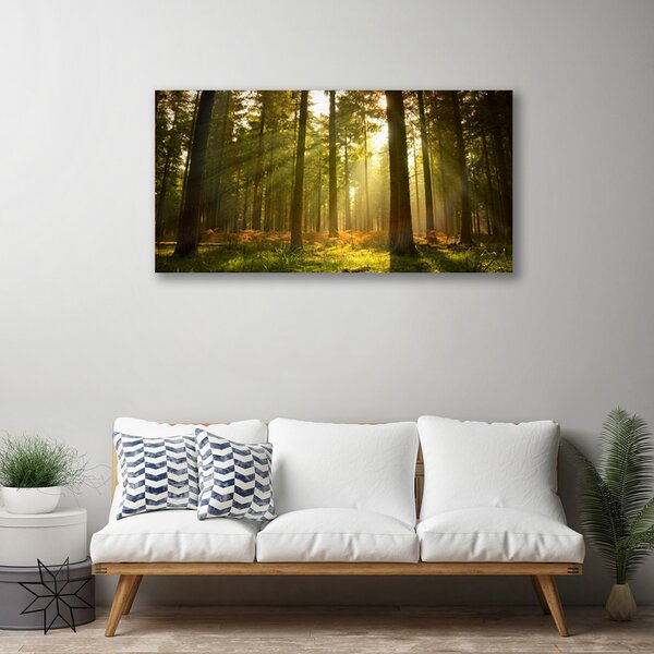 Quadro su tela Alberi della natura della foresta 100x50 cm