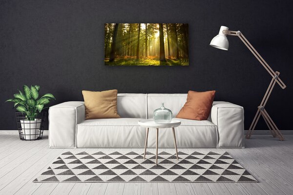 Quadro su tela Alberi della natura della foresta 100x50 cm