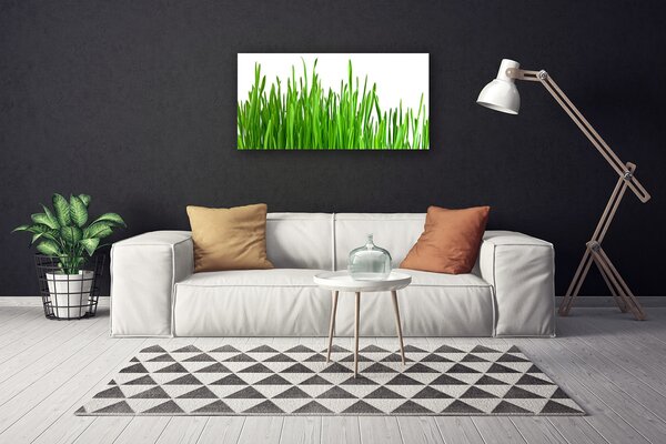 Stampa quadro su tela Erba, piante, natura 100x50 cm
