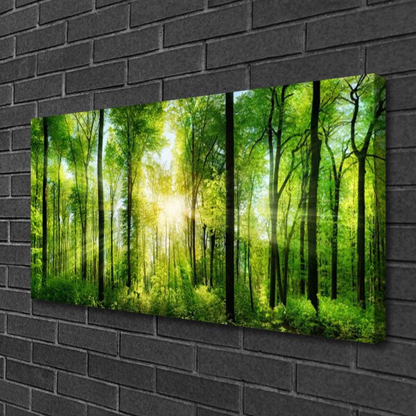 Quadro su tela Alberi della natura della foresta 100x50 cm