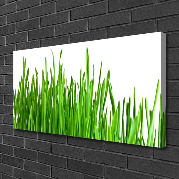 Stampa quadro su tela Erba, piante, natura 100x50 cm