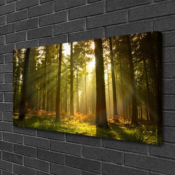 Quadro su tela Alberi della natura della foresta 100x50 cm