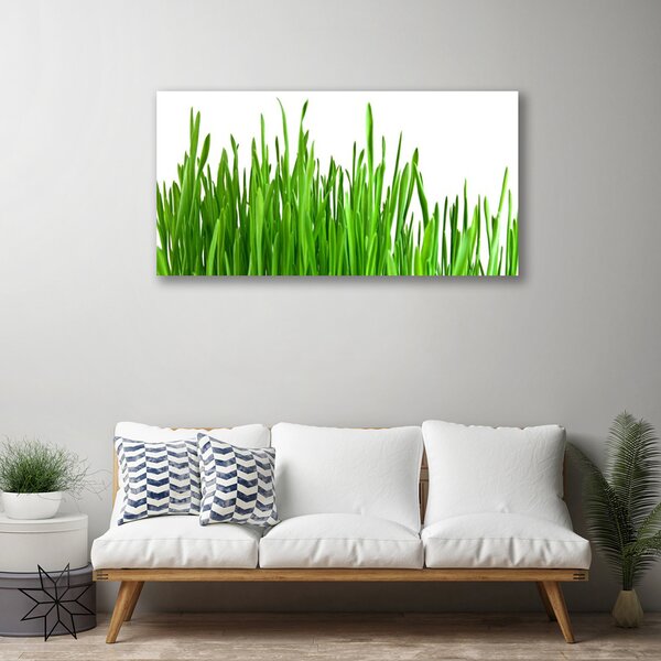 Stampa quadro su tela Erba, piante, natura 100x50 cm
