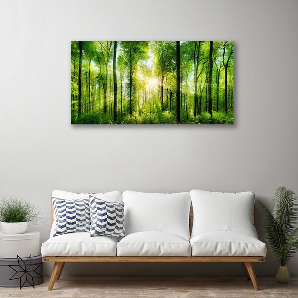 Quadro su tela Alberi della natura della foresta 100x50 cm