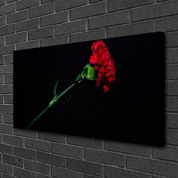 Quadro stampa su tela Fiore, pianta, natura 100x50 cm
