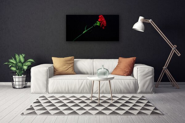 Quadro stampa su tela Fiore, pianta, natura 100x50 cm