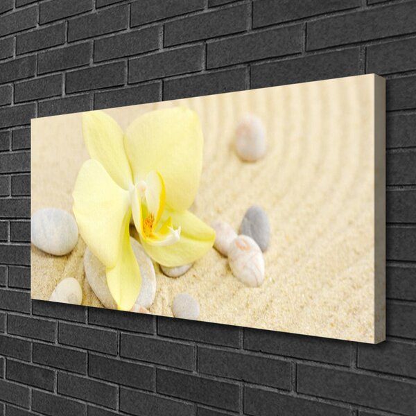 Quadro su tela Fiori, piante, natura 100x50 cm