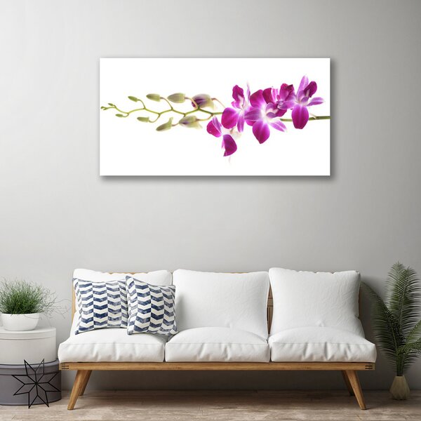 Quadro su tela Fiori, piante, natura 100x50 cm