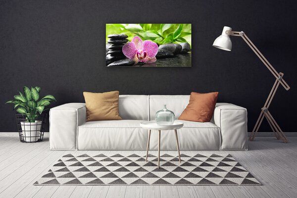 Stampa quadro su tela Pianta di pietre di fiori 100x50 cm