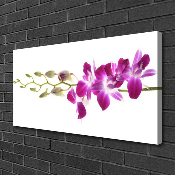 Quadro su tela Fiori, piante, natura 100x50 cm
