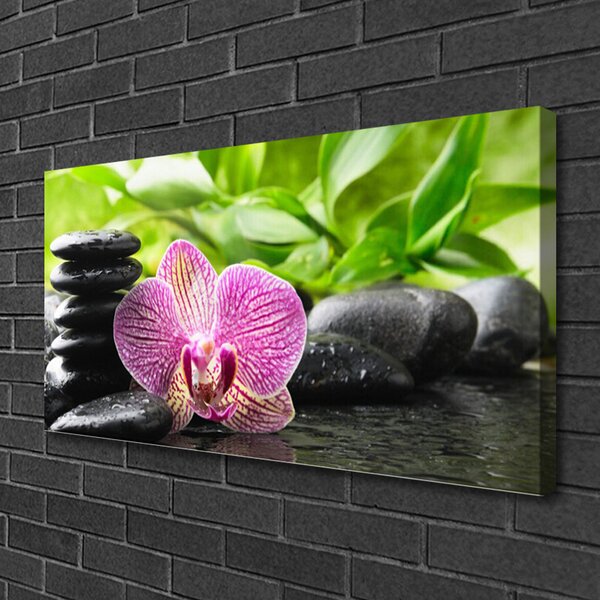 Stampa quadro su tela Pianta di pietre di fiori 100x50 cm