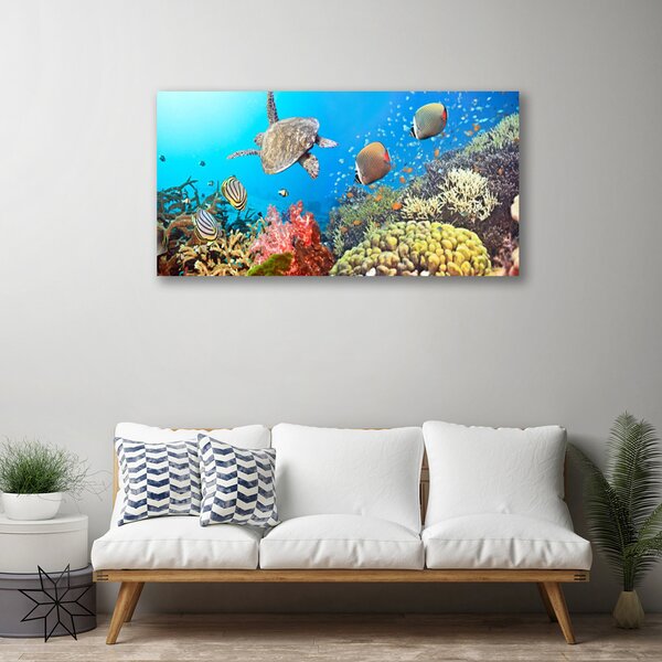 Stampa quadro su tela Paesaggio della barriera corallina 100x50 cm