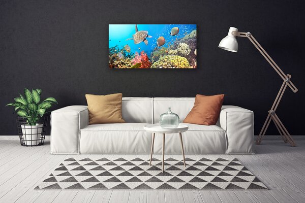 Stampa quadro su tela Paesaggio della barriera corallina 100x50 cm