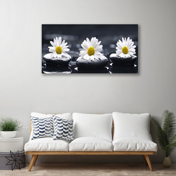 Quadro su tela Pianta delle pietre della margherita 100x50 cm
