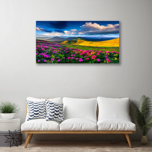 Quadro su tela Prato, fiori, natura 100x50 cm