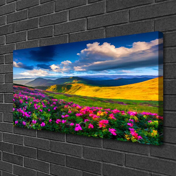 Quadro su tela Prato, fiori, natura 100x50 cm