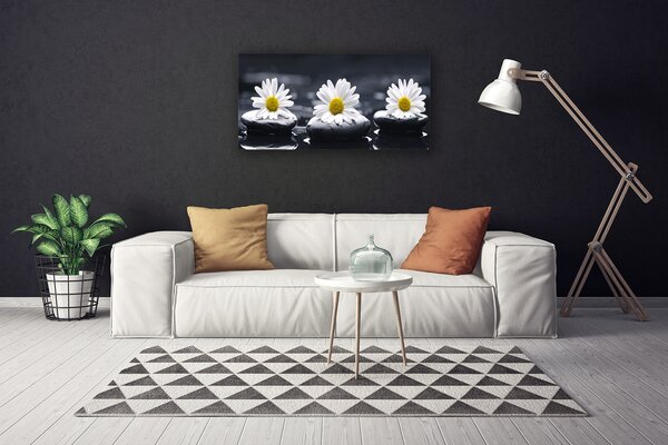 Quadro su tela Pianta delle pietre della margherita 100x50 cm