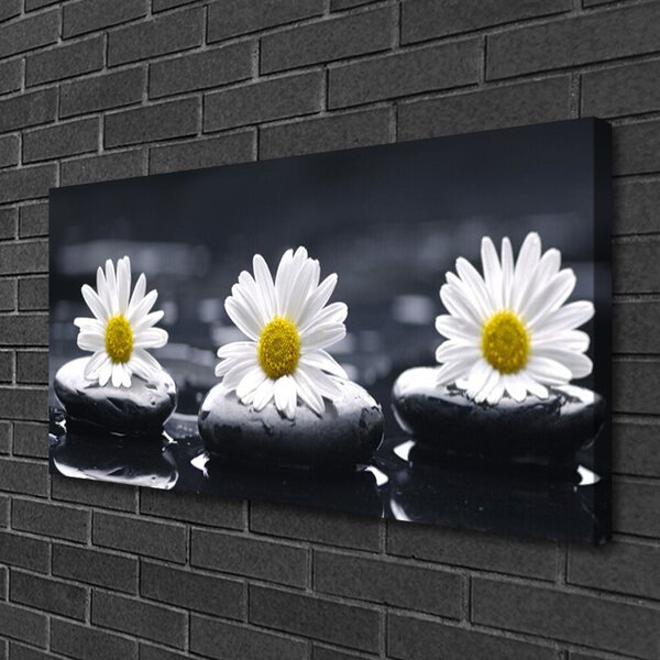 Quadro su tela Pianta delle pietre della margherita 100x50 cm