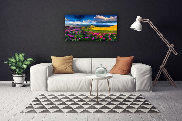 Quadro su tela Prato, fiori, natura 100x50 cm