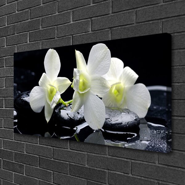 Quadro su tela Fiore di orchidea bianca 100x50 cm