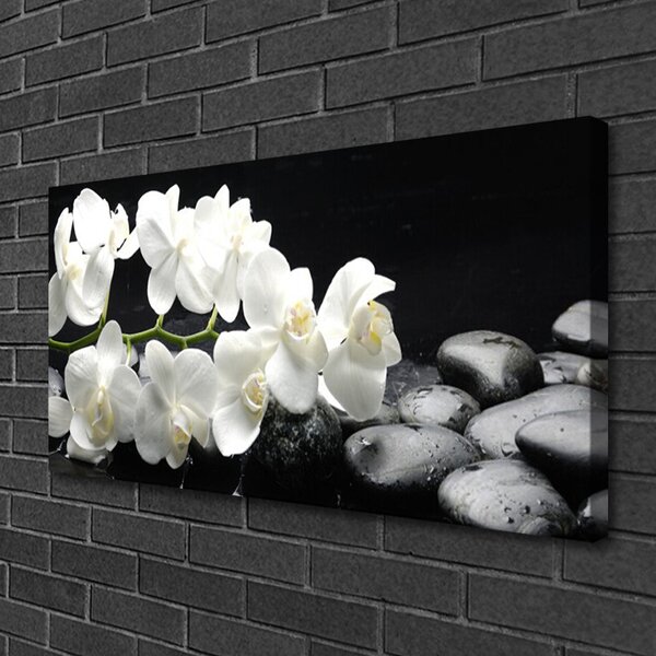 Quadro su tela Pianta di pietre di fiori 100x50 cm