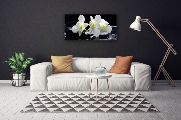Quadro su tela Fiore di orchidea bianca 100x50 cm